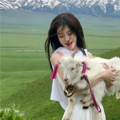 塞维利亚理发师历险记